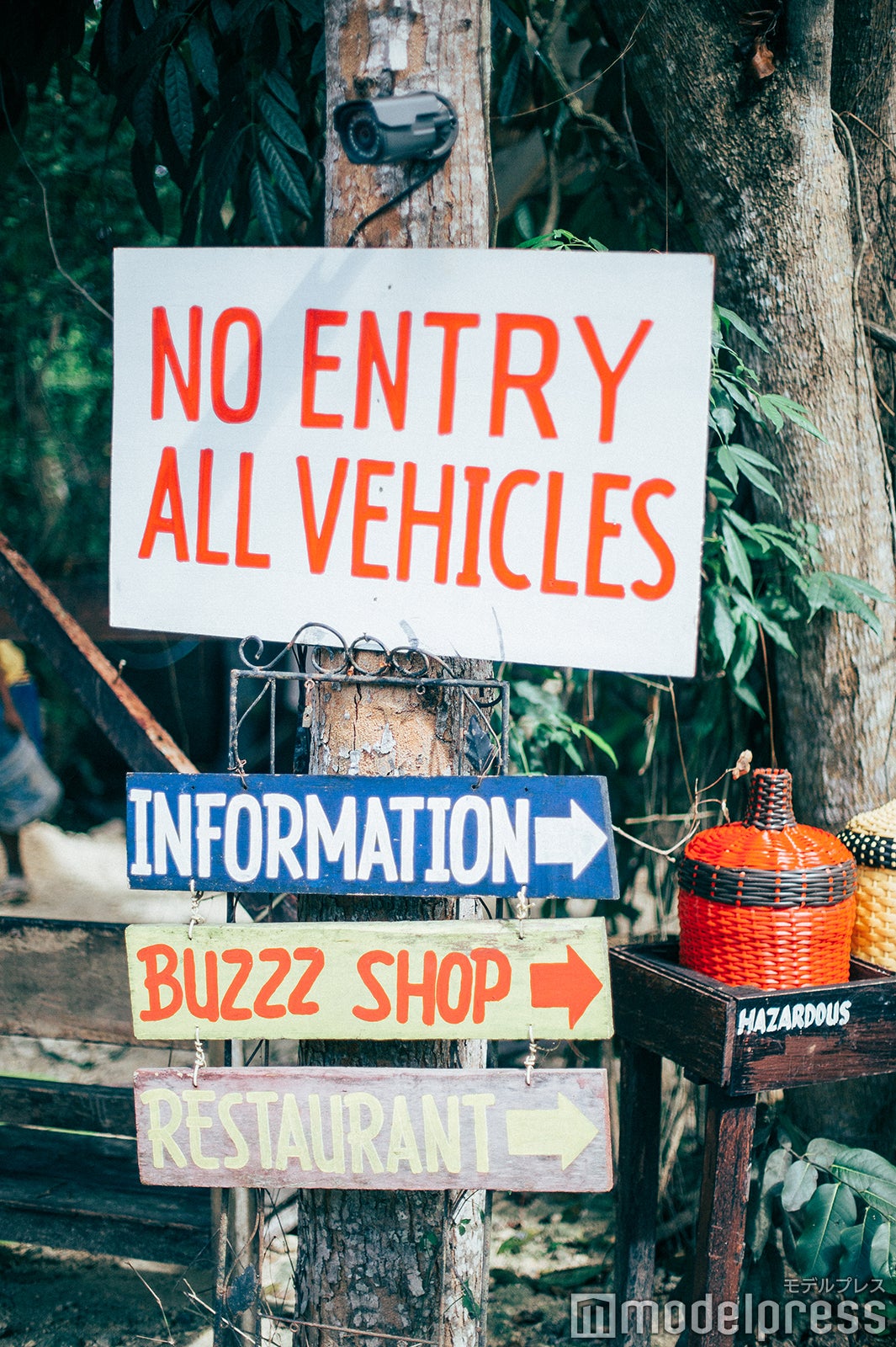 （C）モデルプレス