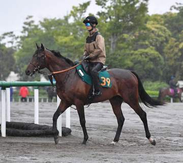 【新馬戦】レッジェランツァ ダイヤの原石の初陣だ 山崎助手「時間かかっても大事に」 津村も好感触「操縦性よく、前進気勢ちょうどいい」