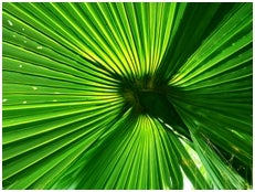 舞川あいく作品