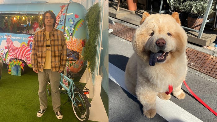 北村匠海(C)日本テレビ