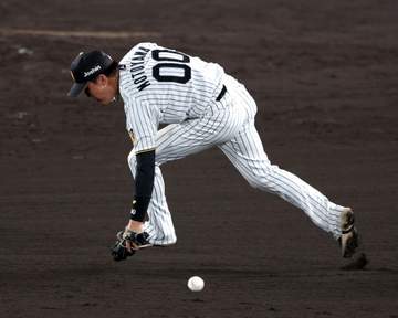 阪神 痛恨拙守から勝ち越し許す 元山が平凡なゴロを後逸 岡田彰布顧問「きついな。グラブトスか自分で踏もうとしたんか。右手が付いていってない」