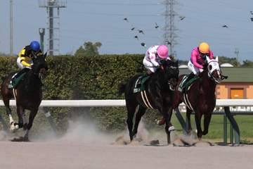 【東海S】マテンロウコマンド JRA重賞初星！地方含めて3勝目 長谷川師「想像以上に強い勝ちっぷり」