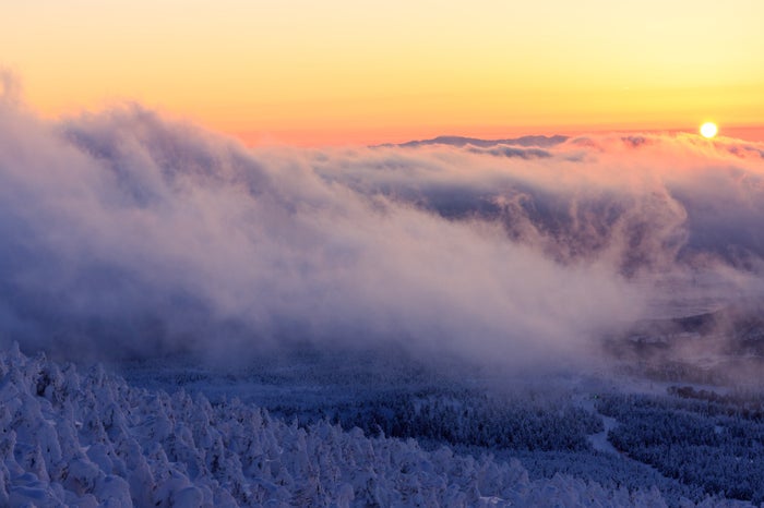 山頂の樹氷と夕暮れ(写真素材ぱくたそ/photo:あめまん)