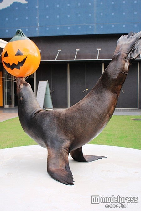 ミニパフォーマンスもハロウィーン仕様に／画像提供：横浜八景島