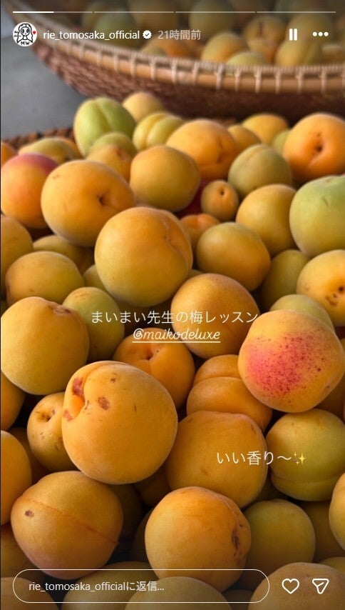 ともさかりえInstagramストーリーズより