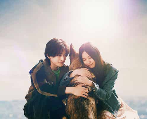 高橋文哉&西野七瀬、W主演で初共演 直木賞受賞作“奇跡の物語”「少年と犬」実写映画化