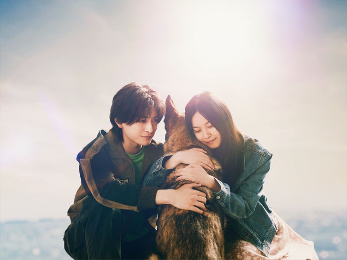 高橋文哉＆西野七瀬、W主演で初共演 直木賞受賞作“奇跡の物語”「少年と犬」実写映画化