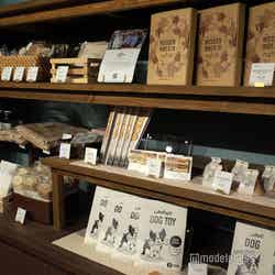 ミューの森(C)モデルプレス