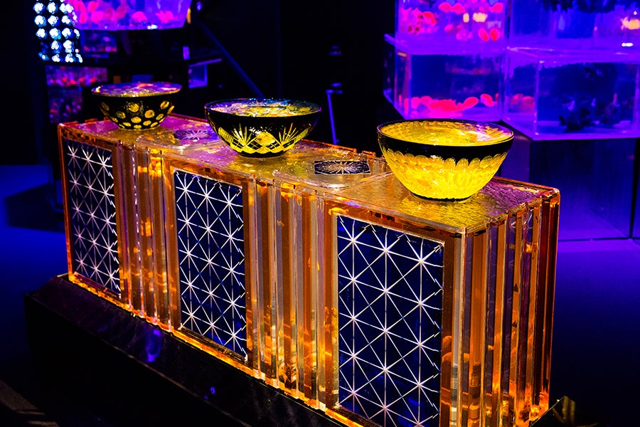 日本橋ナイトアクアリウム10