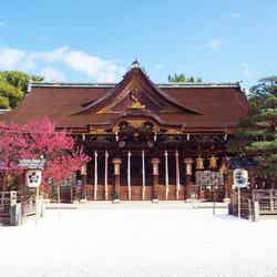 KYOTO NIPPON FESTIVAL 2026 -時をこえ、華ひらく庭-/提供写真