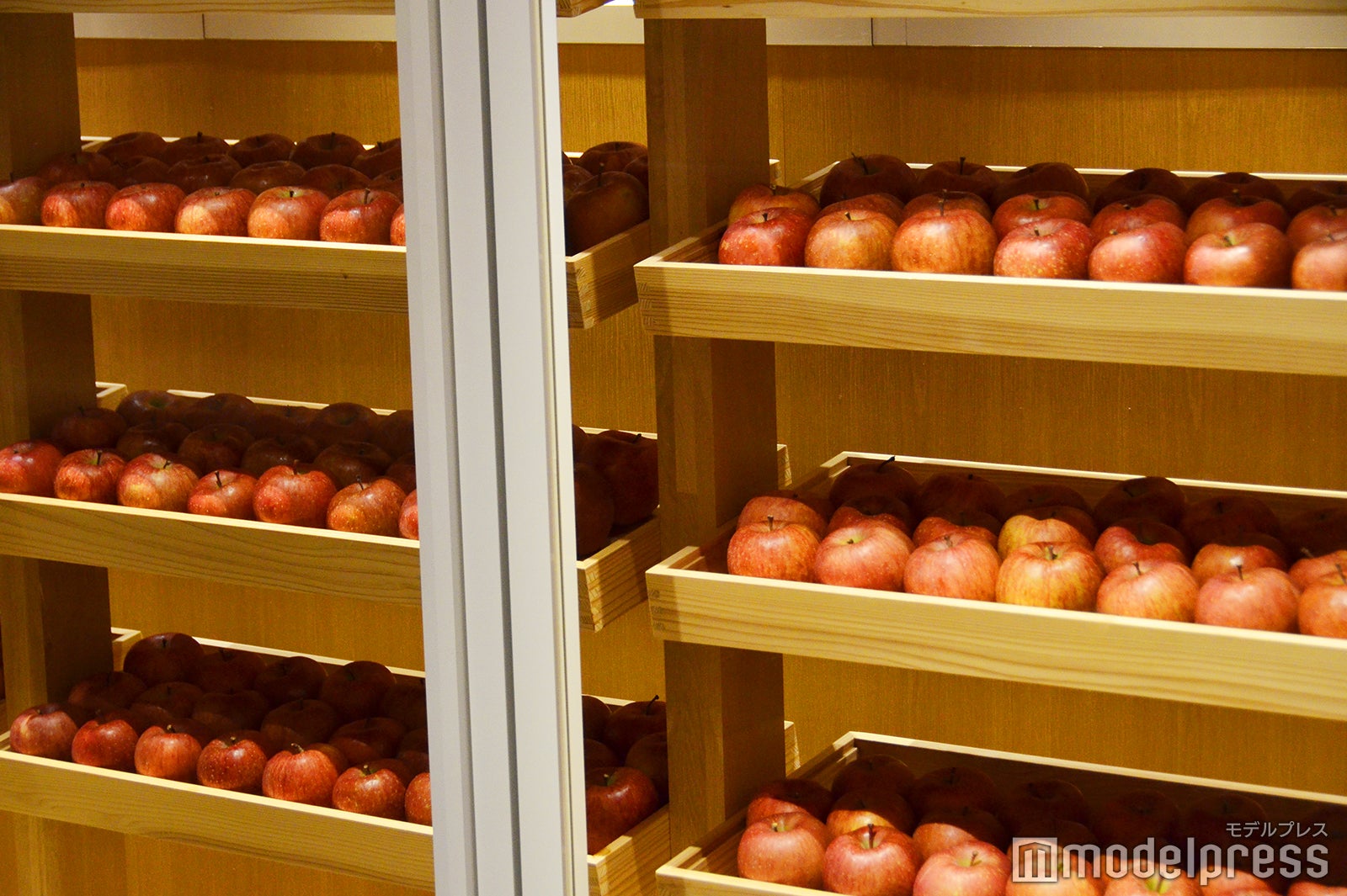 青森りんごキッチン（C）モデルプレス