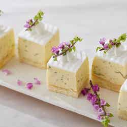 新緑スイーツブッフェ/画像提供:ニッコー・ホテルズ・インターナショナル