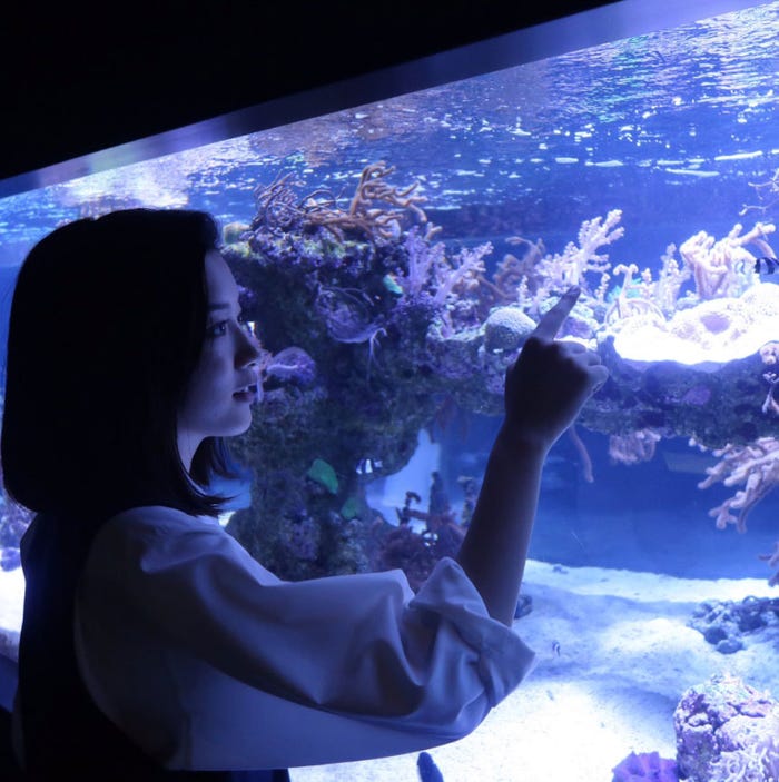 永野芽郁の“彼女感”ショット(画像提供:カンテレ)