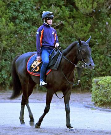 【新馬戦】サトノカグラ 木村厩舎の秘蔵っ子がいよいよ初陣 太田助手「態勢は整いました」