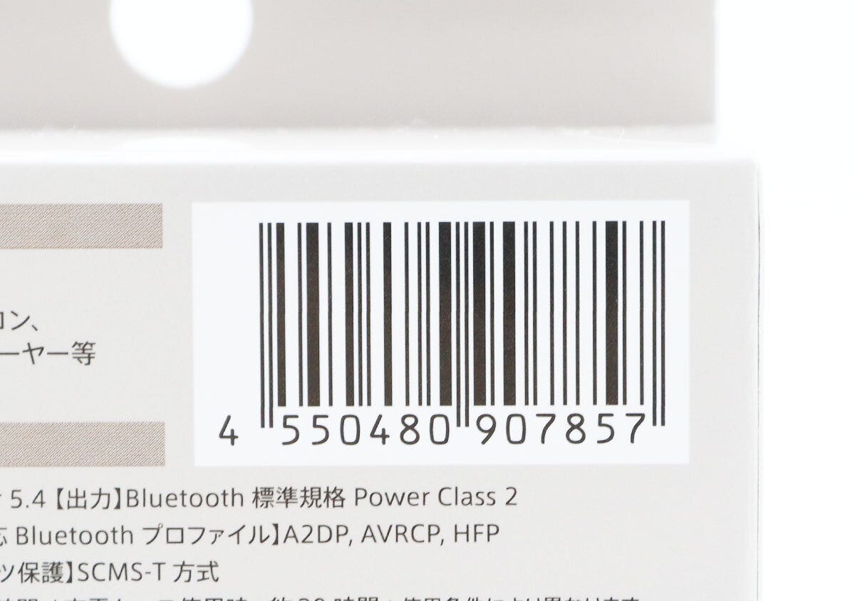 ダイソーの完全ワイヤレスイヤホン