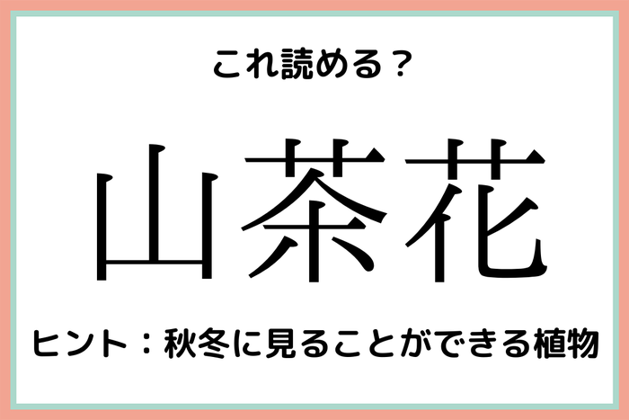 山茶花 やまちゃはな 読めそうで読めない 花の難読漢字 4選 モデルプレス