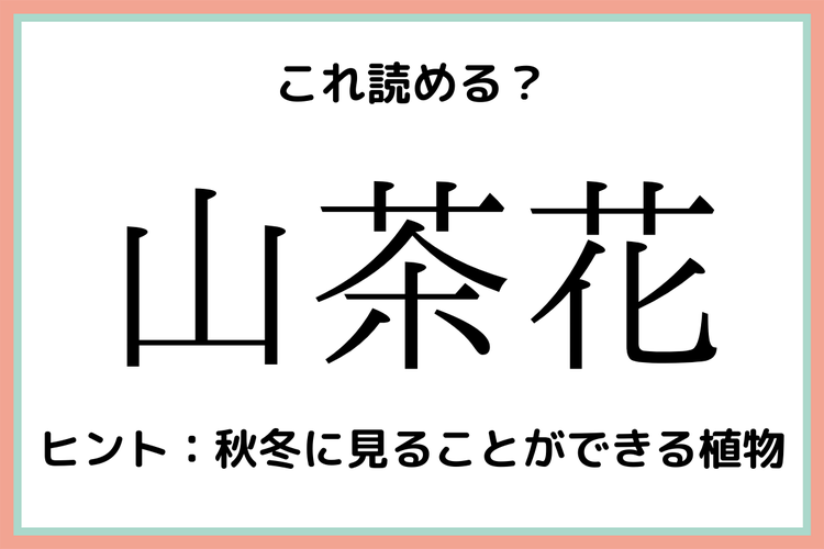 山茶花 やまちゃはな 読めそうで読めない 花の難読漢字 4選 モデルプレス 山茶花 やまちゃはな 読めそうで読めない 花の難読漢字 4選 モデルプレス