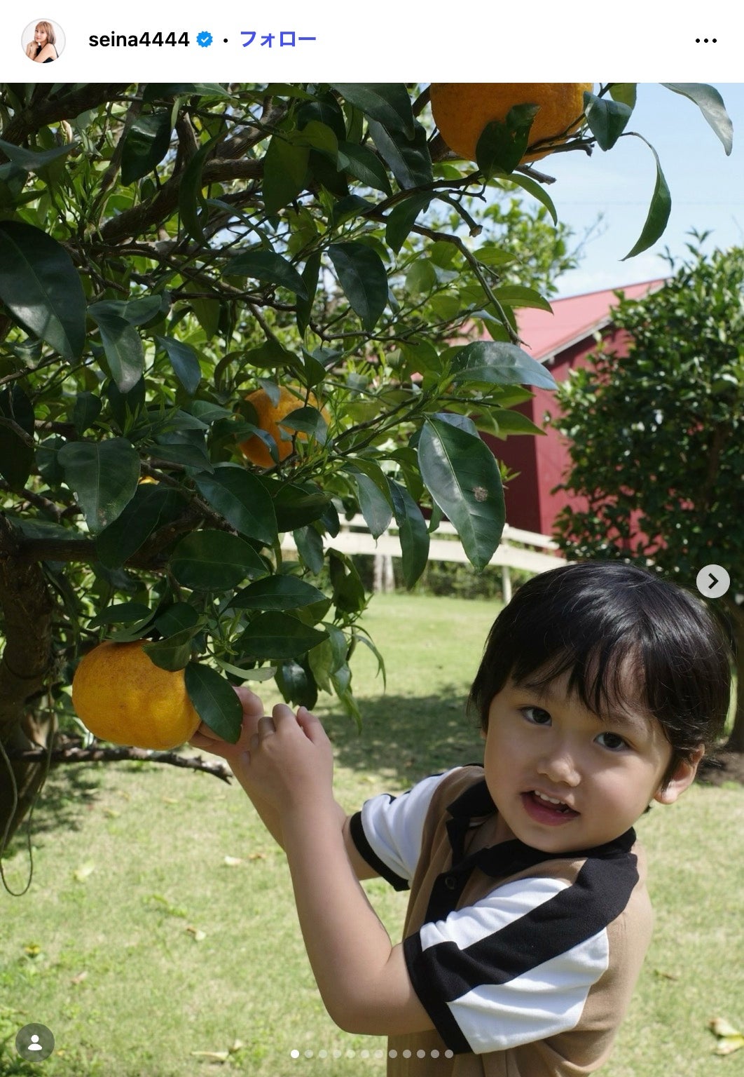 島袋聖南Instagramより