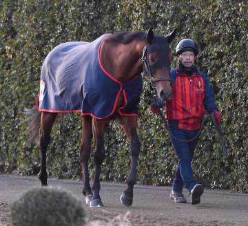 【フェブラリーS】コスタノヴァ ブリンカー装着で連覇だ 6枠12番決定に陣営「気にしていない」