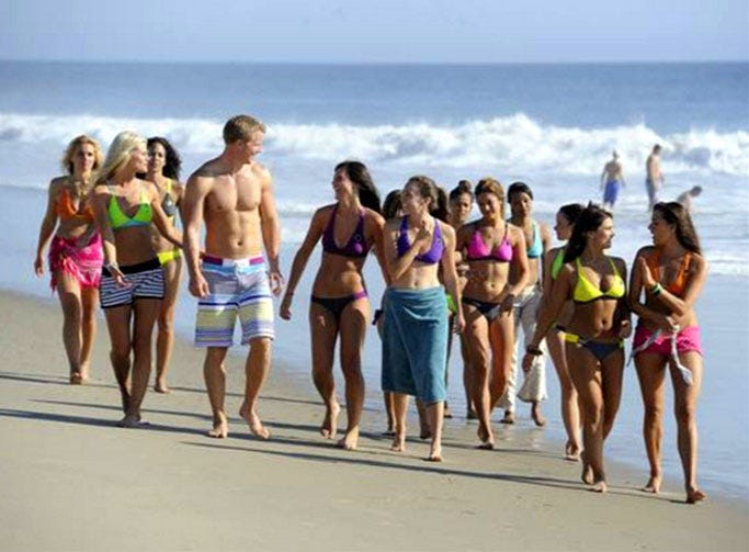 「The Bachelor(バチェラー)」