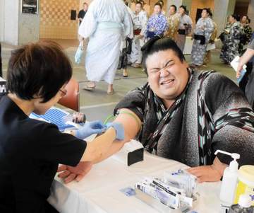 大相撲力士「痛くてツラい」嘉陽が健診採血に苦悶の表情、横綱のしこ名継ぐ旭富士は看護師に逆質問
