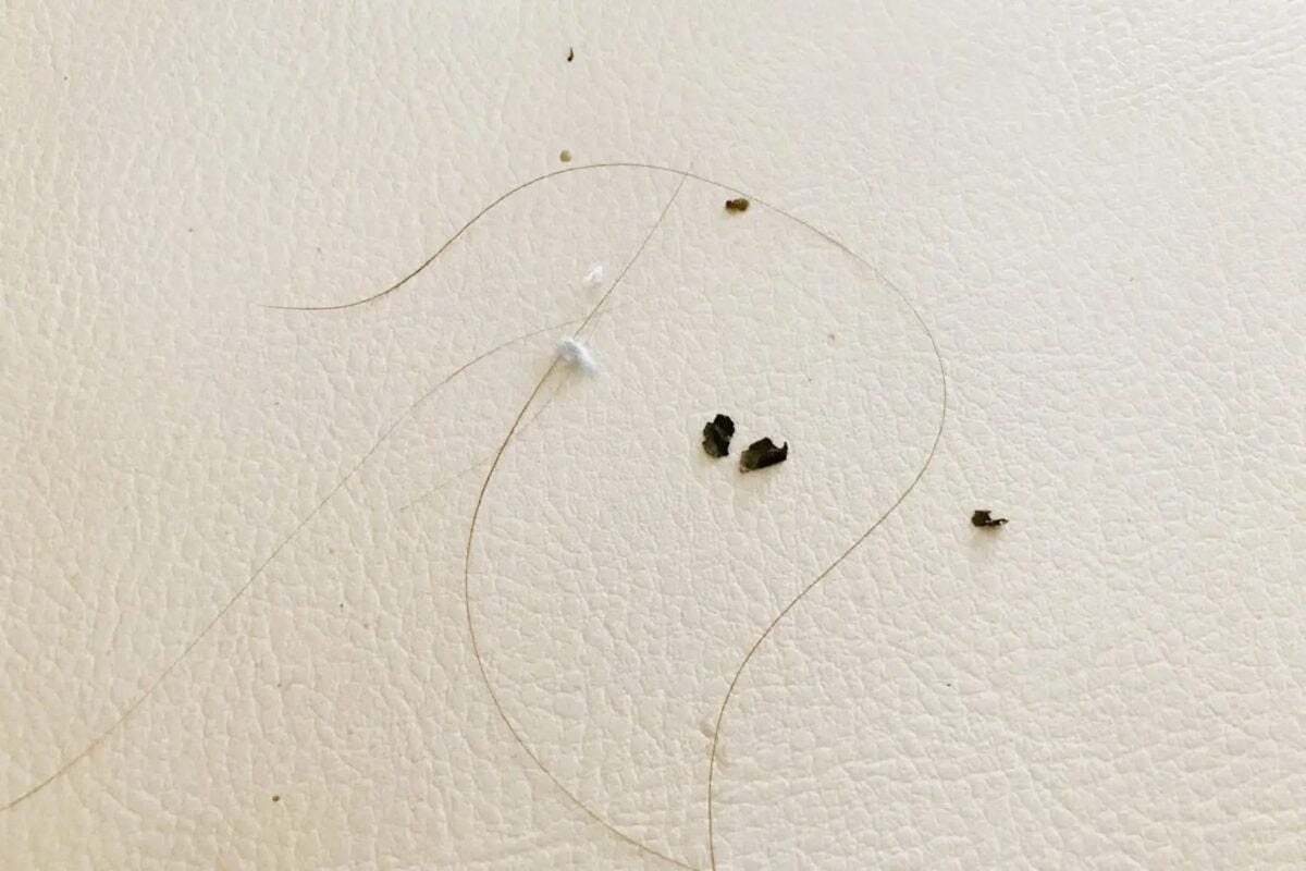 洗濯物のタオル
