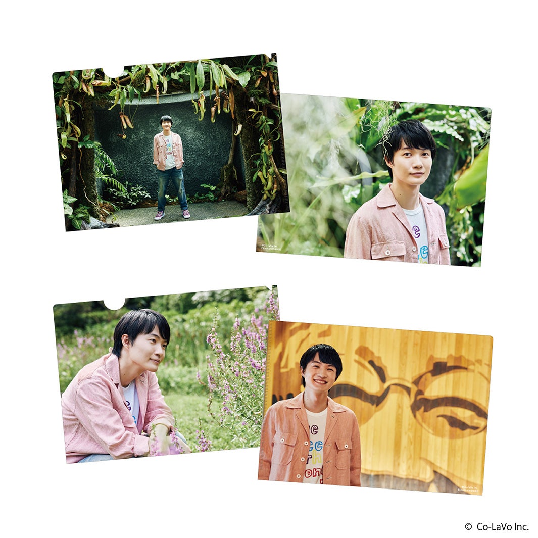 神木隆之介 クリアファイル （提供写真）