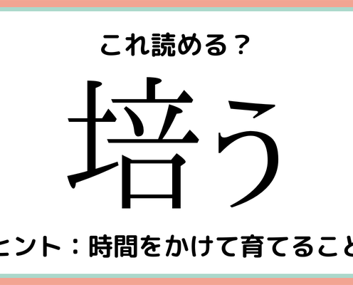 樫 堅い木 読めたらスゴイ 木へんの難読漢字 4選 モデルプレス
