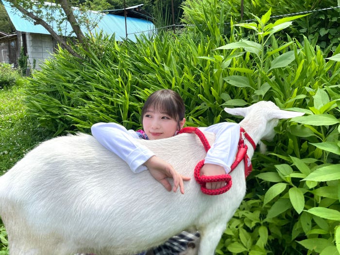 与田祐希、ヤギのポポ(C)テレビ東京