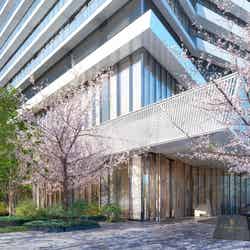 フォーシーズンズホテル大阪/フォーシーズンズホテル提供