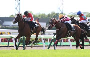 【青函S】ブラックチャリス 鼻差で古馬撃破 吉田隼が相棒称賛「不利な展開もよく踏ん張ってくれた」