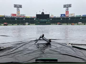 阪神 楽天戦が雨天中止 8日の予備日消滅で7連戦に ソフトバンク＆オリックス3連戦が移動日なしに