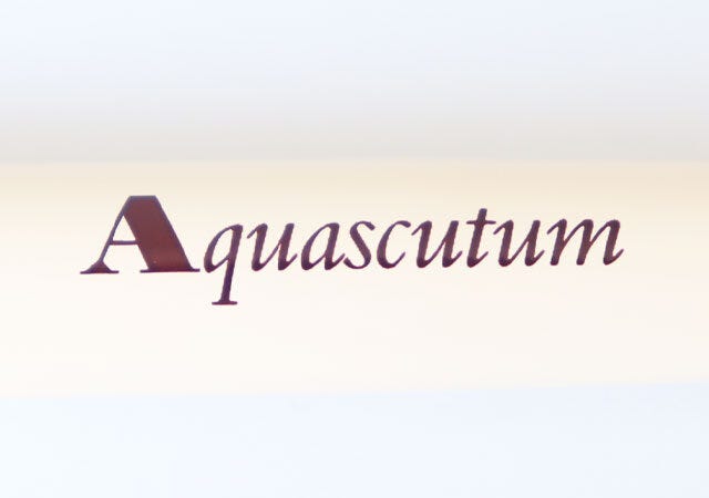 宝島社　ムック本　付録　Aquascutum
