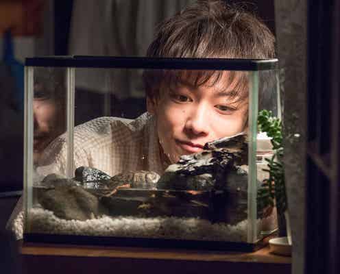 佐藤健「半分、青い。」で“過去最大のプレッシャー”と向き合う 嫉妬するほど「僕はもう鈴愛が好き」<インタビュー>