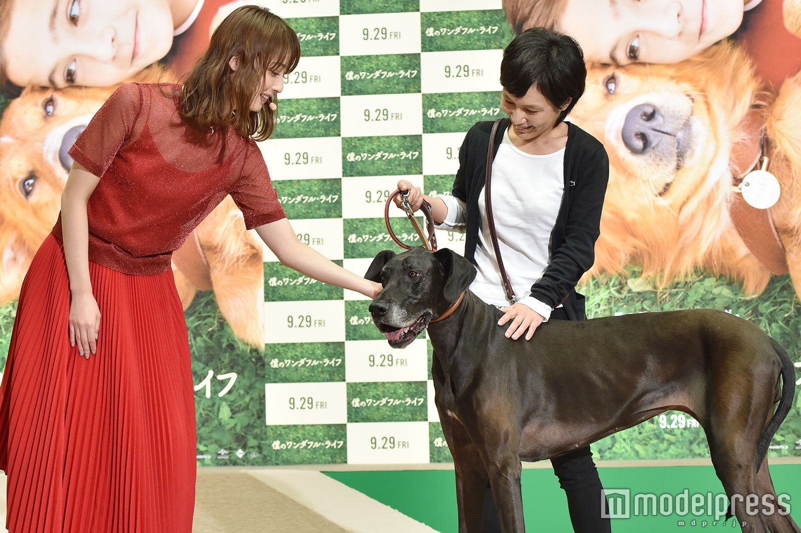 佐々木希（C）モデルプレス