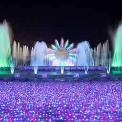 夜桜ジュエルミネーション/画像提供:よみうりランド