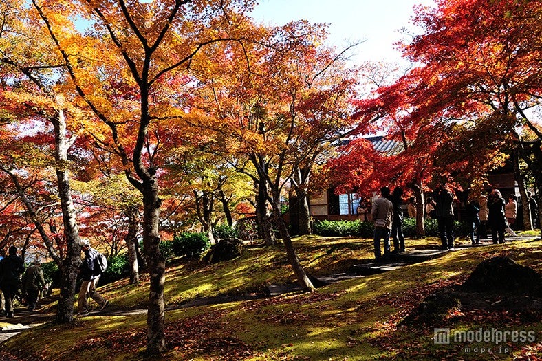 秋の週末箱根旅へ、おすすめ紅葉スポット7選