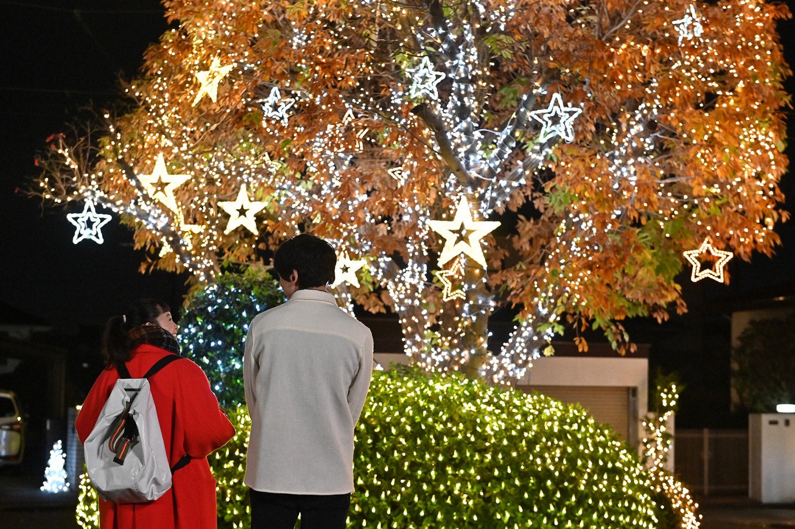 清野菜名、坂口健太郎／「婚姻届に判を捺しただけですが」最終話より（C）TBS