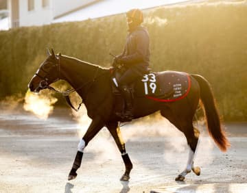 【きさらぎ賞】ストームゲイル＆原田助手 新風吹かす 鞍上・吉村と競馬学校同期 試金石の舞台へ「初めての重賞が楽しみ」