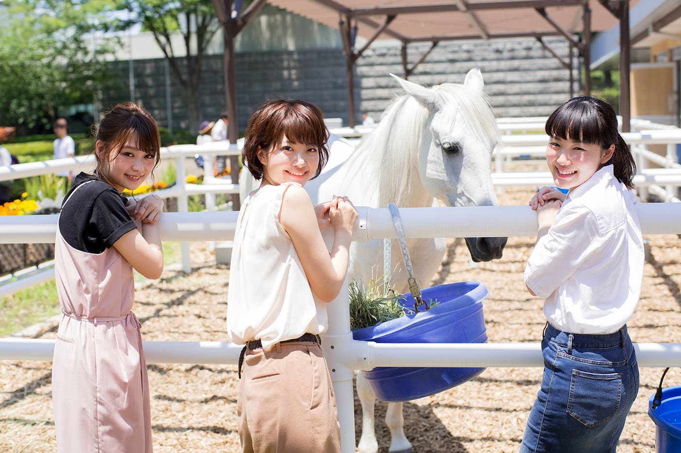 オシャレな写真が撮れるスポットがたくさん