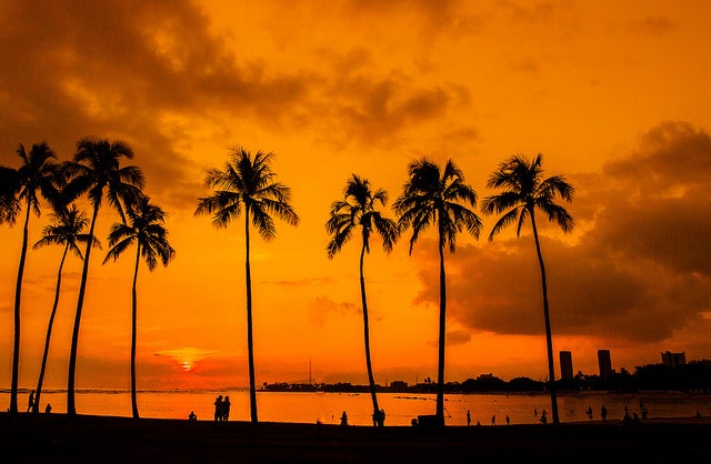 マジック・アイランド／Hawaii Palm Trees Sunset Magic Island by Anthony Quintano