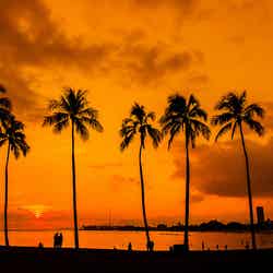 ハワイの泣けるほど綺麗なサンセットスポット5選