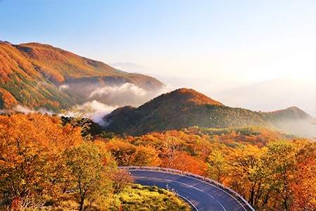 「栃木県」