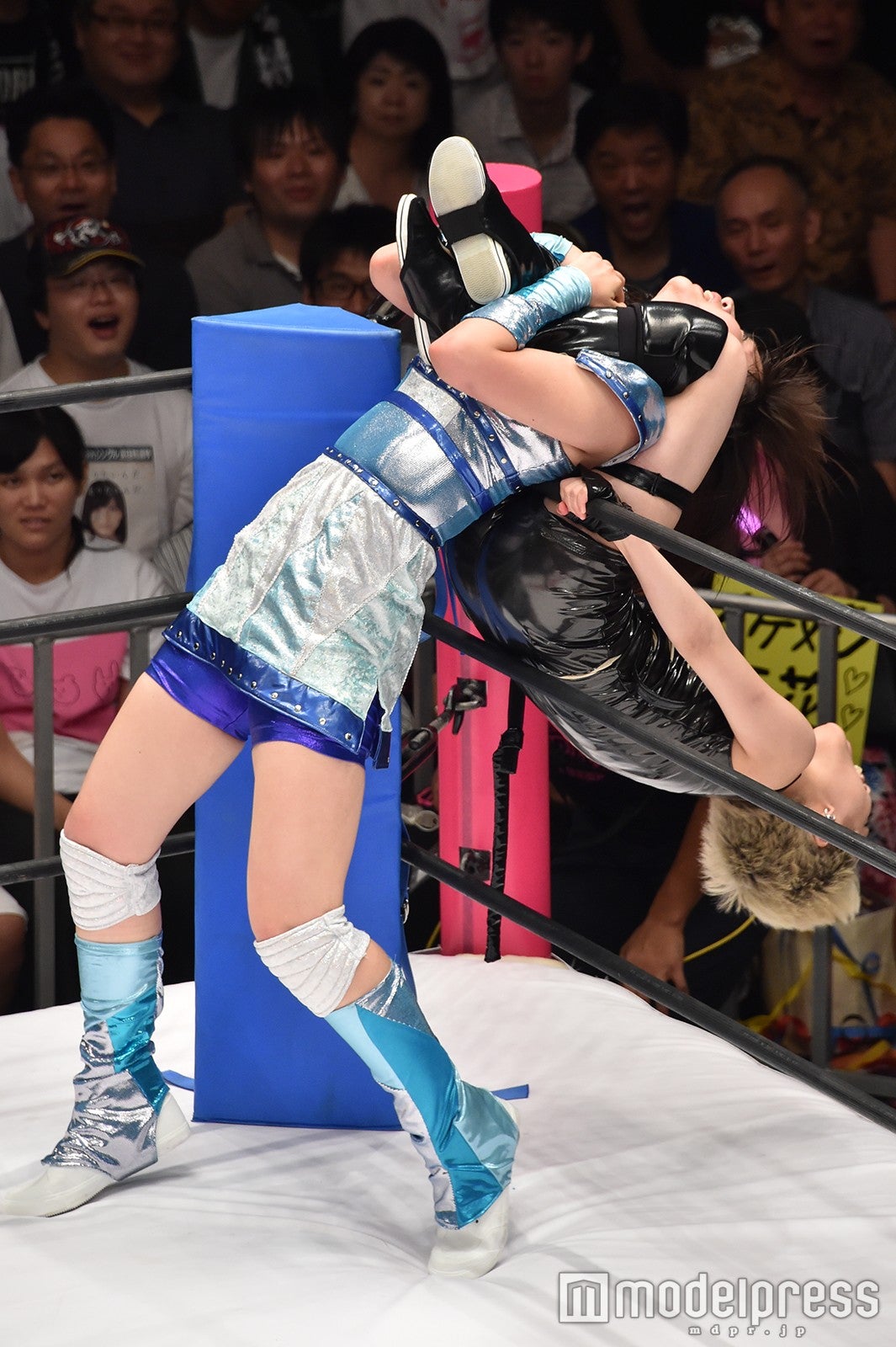 豆腐プロレス The REAL 2017 WIP CLIMAX（C）モデルプレス