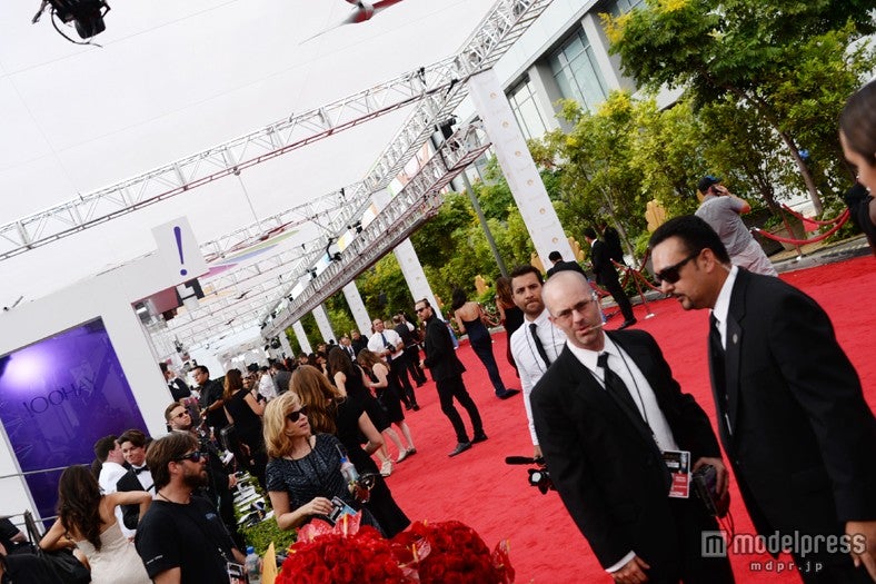 レッドカーペットの模様