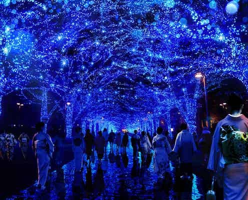 2016年大晦日はどう過ごす?関東カウントダウンイベント8選