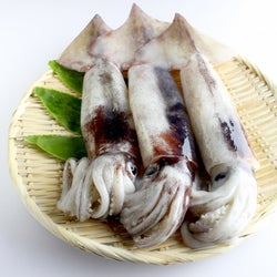 【イカの栄養】うれしい健康効果がたくさん! エビやタコとの比較も