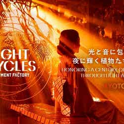 LIGHT CYCLES KYOTO/提供画像