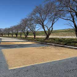 トバイヌマGRAND FIELD/提供画像