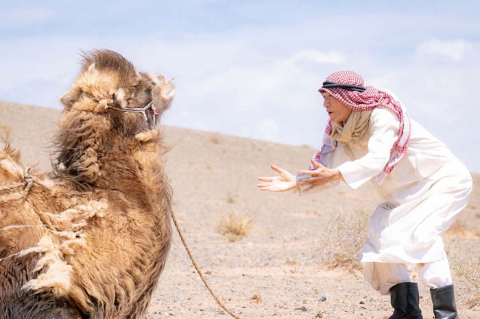 堺雅人「VIVANT」第3話より(C)TBS